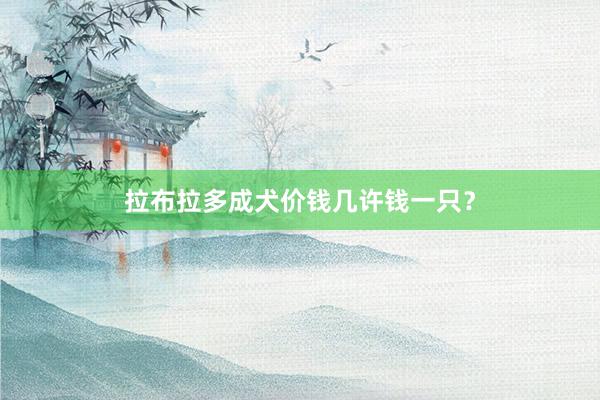拉布拉多成犬价钱几许钱一只？