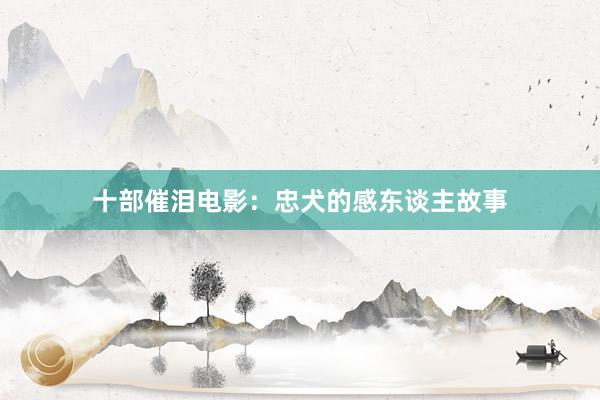十部催泪电影：忠犬的感东谈主故事