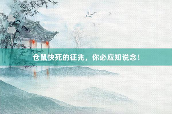 仓鼠快死的征兆，你必应知说念！