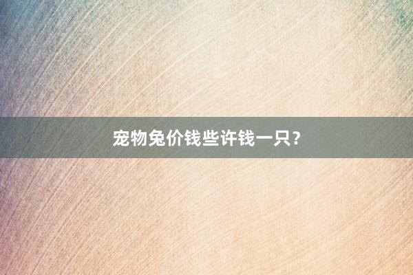 宠物兔价钱些许钱一只?